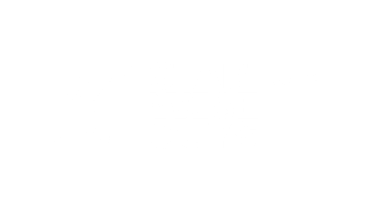 Logo startup wise guys